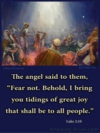 Message of Great Joy - Perfect MAN Eternal SON (10)